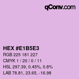 Color code: HEX #E1B5E3 | qconv.com