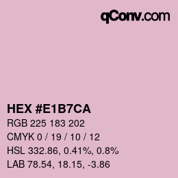 Color code: HEX #E1B7CA | qconv.com
