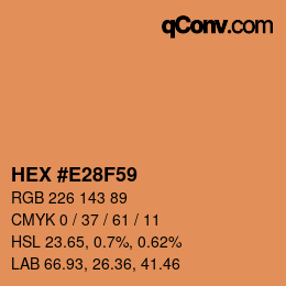 Color code: HEX #E28F59 | qconv.com