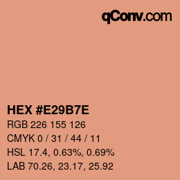 Color code: HEX #E29B7E | qconv.com