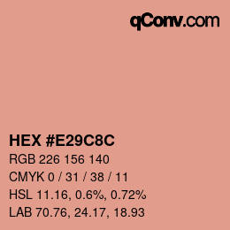 Color code: HEX #E29C8C | qconv.com