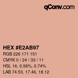 Color code: HEX #E2AB97 | qconv.com