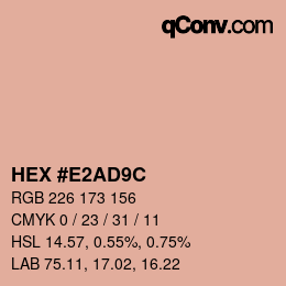 Color code: HEX #E2AD9C | qconv.com
