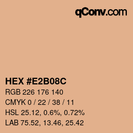 Color code: HEX #E2B08C | qconv.com