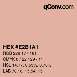 Color code: HEX #E2B1A1 | qconv.com