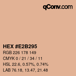 Color code: HEX #E2B295 | qconv.com