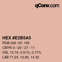 Color code: HEX #E2B5A5 | qconv.com