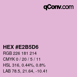 Color code: HEX #E2B5D6 | qconv.com
