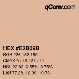 Color code: HEX #E2B69B | qconv.com