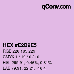 颜色代码: HEX #E2B9E5 | qconv.com