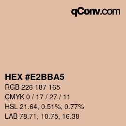 Color code: HEX #E2BBA5 | qconv.com