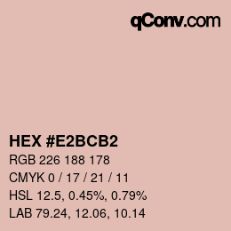 Color code: HEX #E2BCB2 | qconv.com