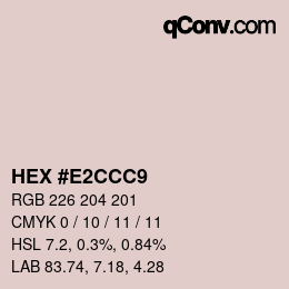Color code: HEX #E2CCC9 | qconv.com