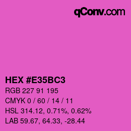 Color code: HEX #E35BC3 | qconv.com