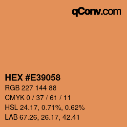 Color code: HEX #E39058 | qconv.com