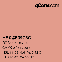 Color code: HEX #E39C8C | qconv.com