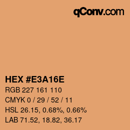 Color code: HEX #E3A16E | qconv.com