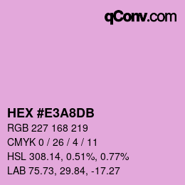 Color code: HEX #E3A8DB | qconv.com