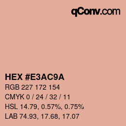 Color code: HEX #E3AC9A | qconv.com