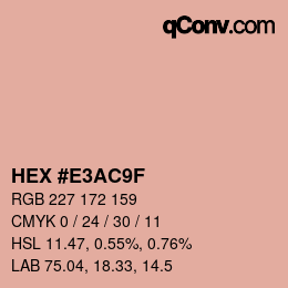 Color code: HEX #E3AC9F | qconv.com