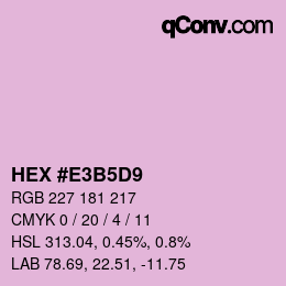 Color code: HEX #E3B5D9 | qconv.com