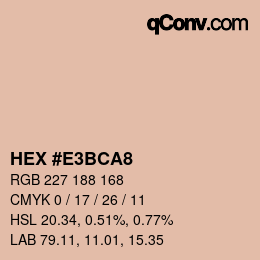 Color code: HEX #E3BCA8 | qconv.com