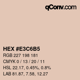 Color code: HEX #E3C6B5 | qconv.com