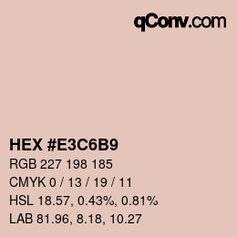 Color code: HEX #E3C6B9 | qconv.com