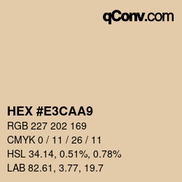Color code: HEX #E3CAA9 | qconv.com