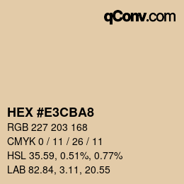 Color code: HEX #E3CBA8 | qconv.com