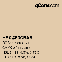 Color code: HEX #E3CBAB | qconv.com