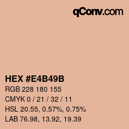 Color code: HEX #E4B49B | qconv.com