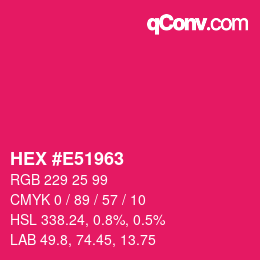 Color code: HEX #E51963 | qconv.com