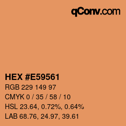 Código de color: HEX #E59561 | qconv.com