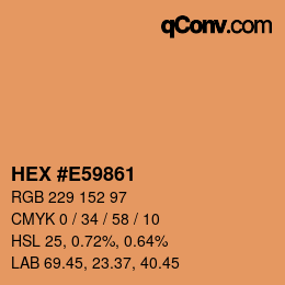 颜色代码: HEX #E59861 | qconv.com