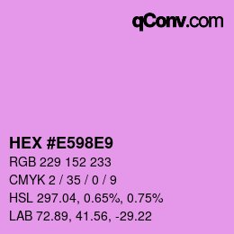 颜色代码: HEX #E598E9 | qconv.com