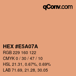 Color code: HEX #E5A07A | qconv.com
