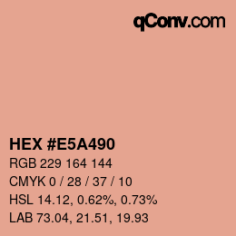 Color code: HEX #E5A490 | qconv.com