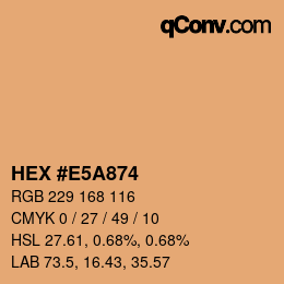 Color code: HEX #E5A874 | qconv.com