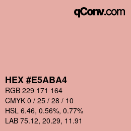 Color code: HEX #E5ABA4 | qconv.com