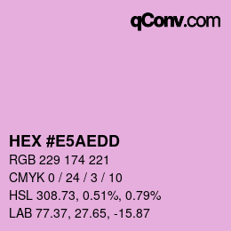 Color code: HEX #E5AEDD | qconv.com