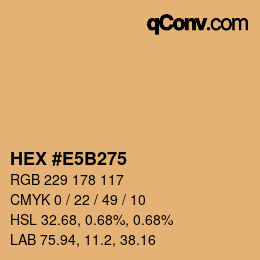 Color code: HEX #E5B275 | qconv.com