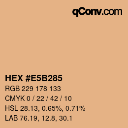 Color code: HEX #E5B285 | qconv.com