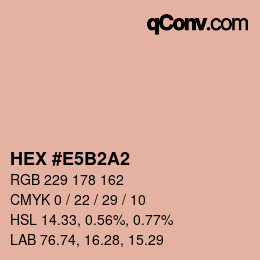 Color code: HEX #E5B2A2 | qconv.com