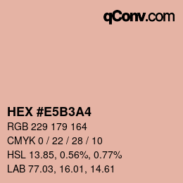 颜色代码: HEX #E5B3A4 | qconv.com