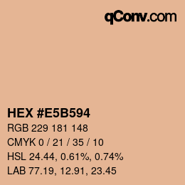 Color code: HEX #E5B594 | qconv.com