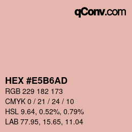 Color code: HEX #E5B6AD | qconv.com