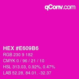 Color code: HEX #E609B6 | qconv.com