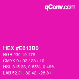 Color code: HEX #E613B0 | qconv.com