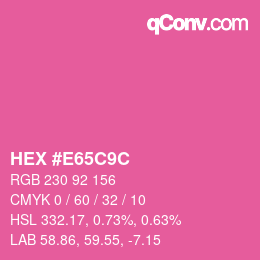 Color code: HEX #E65C9C | qconv.com